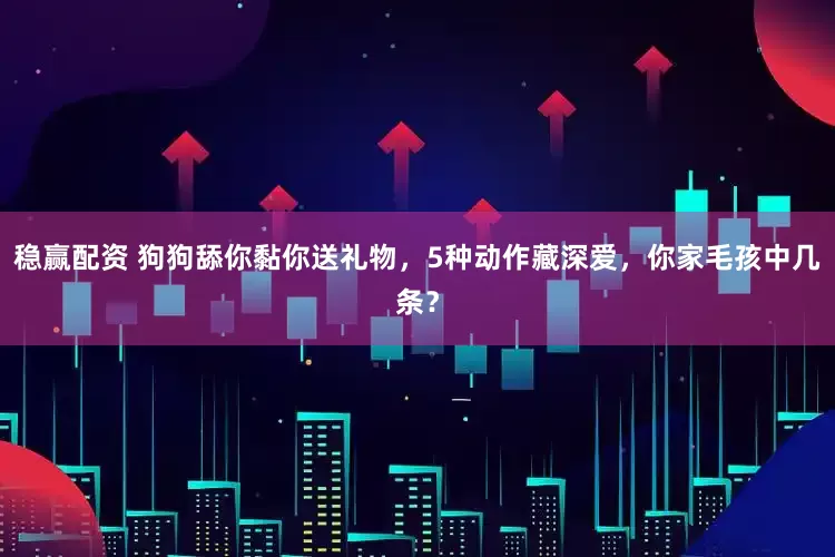 稳赢配资 狗狗舔你黏你送礼物，5种动作藏深爱，你家毛孩中几条？