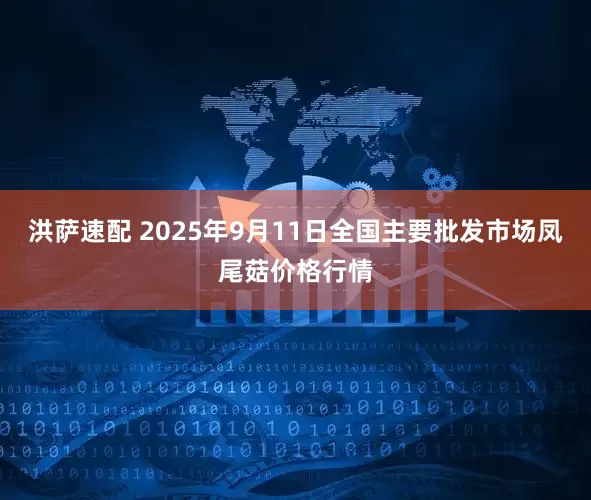 洪萨速配 2025年9月11日全国主要批发市场凤尾菇价格行情
