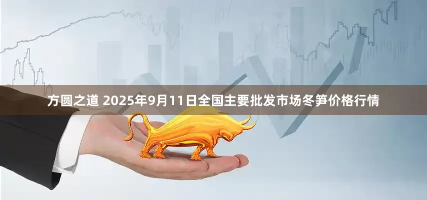 方圆之道 2025年9月11日全国主要批发市场冬笋价格行情