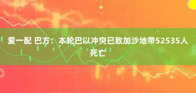 爱一配 巴方：本轮巴以冲突已致加沙地带52535人死亡
